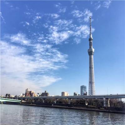 将军道gm版下载