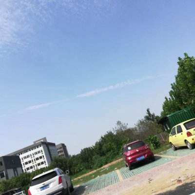 我叫mt九游标准版下载